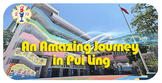 An Amazing Journey in Pui Ling